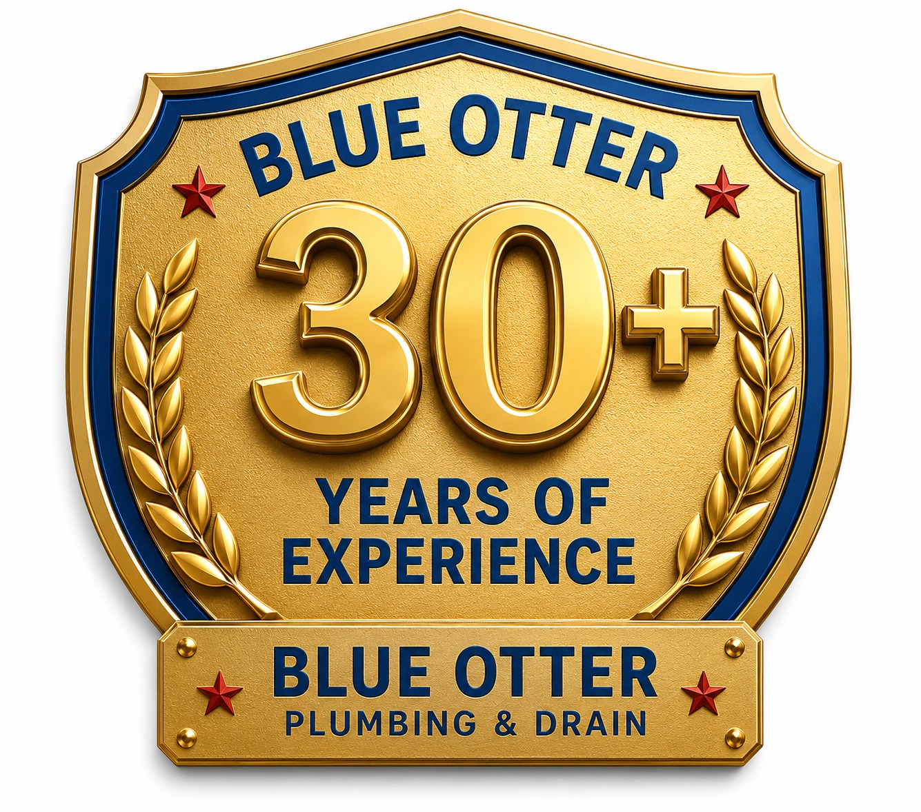 30+ Years Experience