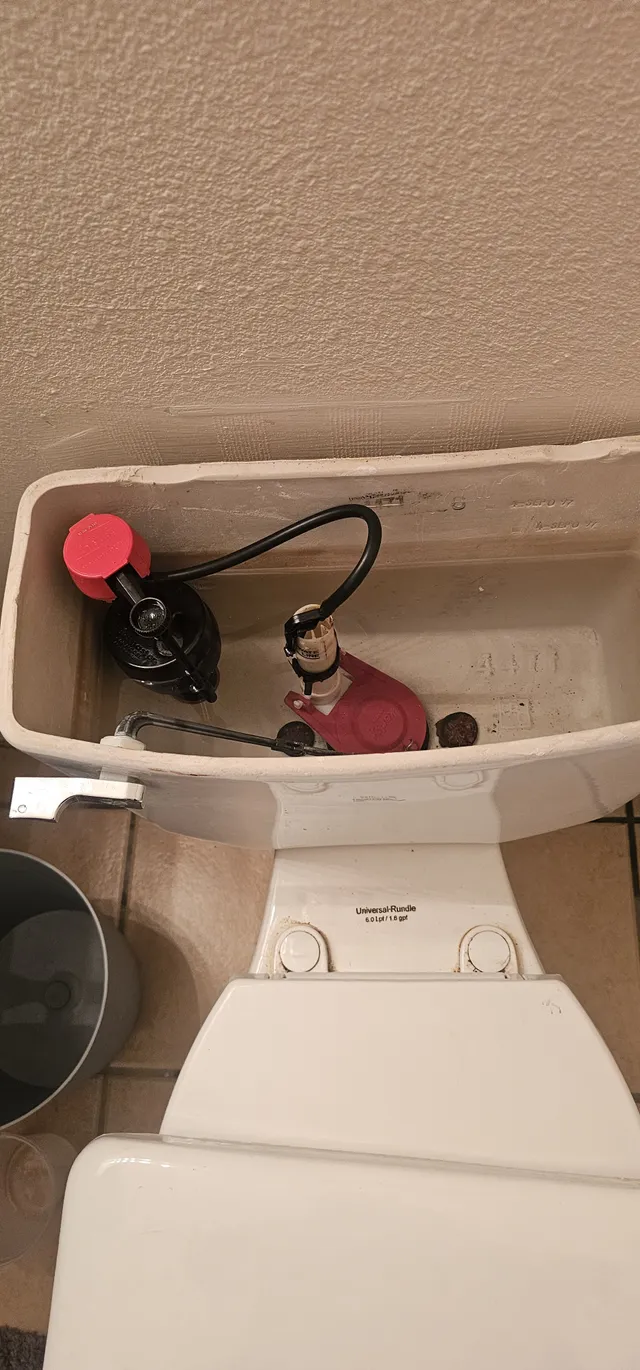 Professional drain cleaning